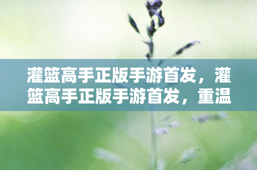 灌篮高手正版手游首发,灌篮高手正版手游首发,重温经典,再现热血篮球梦 灌篮高手正版手游首发,灌篮高手正版手游首发,重温经典,再现热血篮球梦