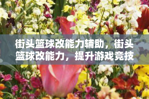 街头篮球改能力辅助，街头篮球改能力，提升游戏竞技水平的秘密武器