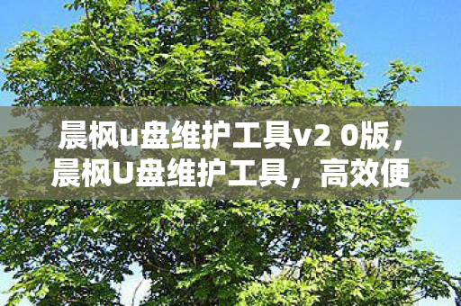 晨枫u盘维护工具v2 0版，晨枫U盘维护工具，高效便捷的电脑维护利器