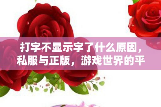 打字不显示字了什么原因，私服与正版，游戏世界的平行宇宙