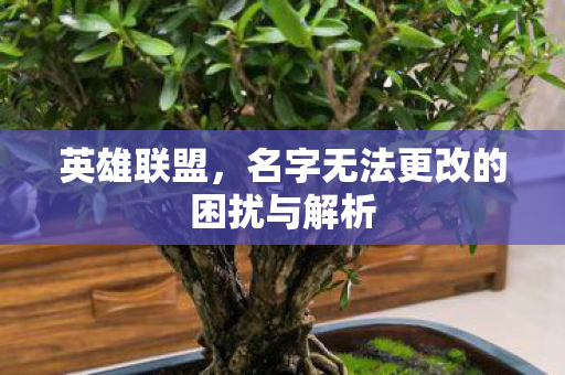 英雄联盟，名字无法更改的困扰与解析