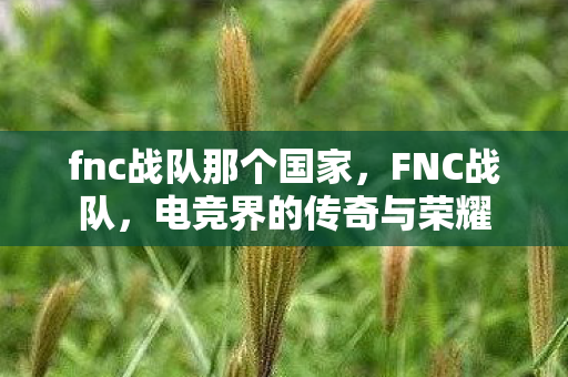 fnc战队那个国家，FNC战队，电竞界的传奇与荣耀