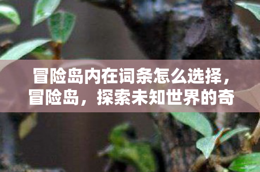 冒险岛内在词条怎么选择，冒险岛，探索未知世界的奇妙之旅