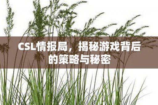 CSL情报局,揭秘游戏背后的策略与秘密 CSL情报局,揭秘游戏背后的策略与秘密