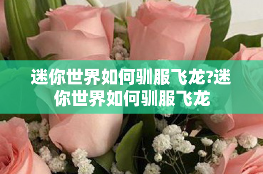 迷你世界如何驯服飞龙?迷你世界如何驯服飞龙 迷你世界如何驯服飞龙?迷你世界如何驯服飞龙