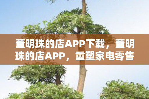 董明珠的店APP下载，董明珠的店APP，重塑家电零售新生态