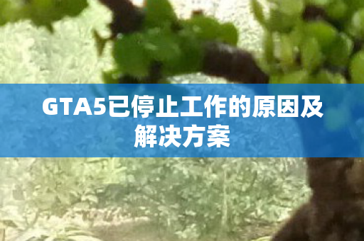 GTA5已停止工作的原因及解决方案 GTA5已停止工作的原因及解决方案