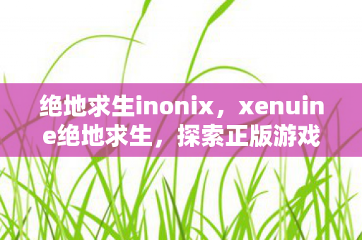 绝地求生inonix,xenuine绝地求生,探索正版游戏的魅力与未来 绝地求生inonix,xenuine绝地求生,探索正版游戏的魅力与未来