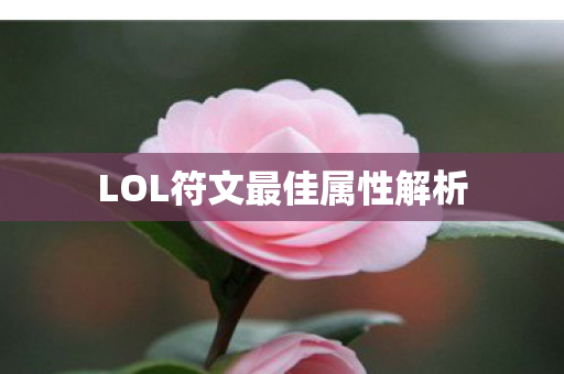LOL符文最佳属性解析 LOL符文最佳属性解析