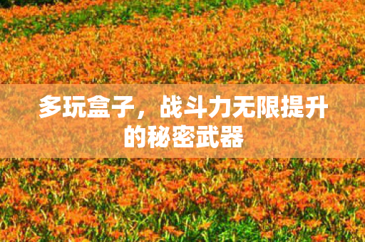 多玩盒子,战斗力无限提升的秘密武器 多玩盒子,战斗力无限提升的秘密武器