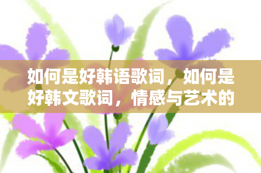 如何是好韩语歌词，如何是好韩文歌词，情感与艺术的交织