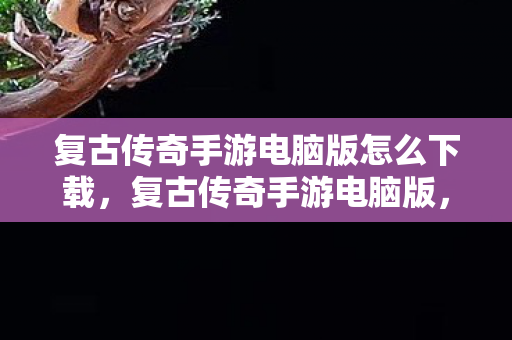 复古传奇手游电脑版怎么下载,复古传奇手游电脑版,经典再现,重塑传奇 复古传奇手游电脑版怎么下载,复古传奇手游电脑版,经典再现,重塑传奇