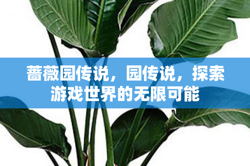 蔷薇园传说,园传说,探索游戏世界的无限可能 蔷薇园传说,园传说,探索游戏世界的无限可能