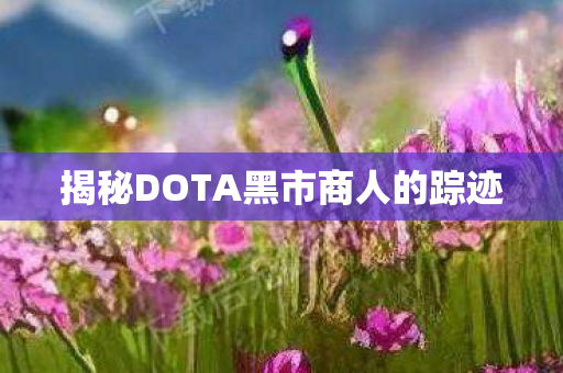 揭秘DOTA黑市商人的踪迹 揭秘DOTA黑市商人的踪迹