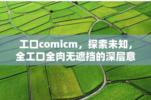工口comicm,探索未知,全工口全肉无遮挡的深层意义 工口comicm,探索未知,全工口全肉无遮挡的深层意义