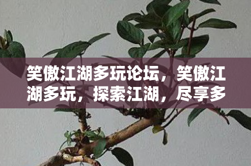 笑傲江湖多玩论坛,笑傲江湖多玩,探索江湖,尽享多元玩法 笑傲江湖多玩论坛,笑傲江湖多玩,探索江湖,尽享多元玩法