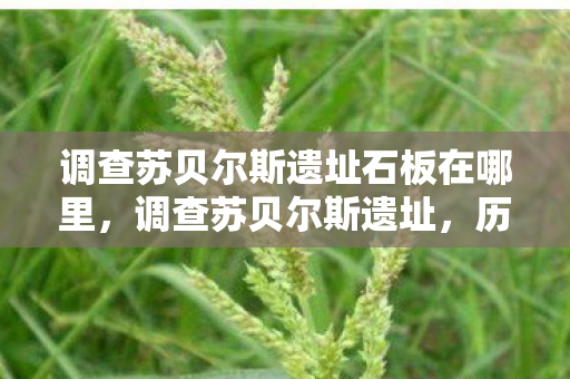调查苏贝尔斯遗址石板在哪里,调查苏贝尔斯遗址,历史的见证与文化的传承 调查苏贝尔斯遗址石板在哪里,调查苏贝尔斯遗址,历史的见证与文化的传承