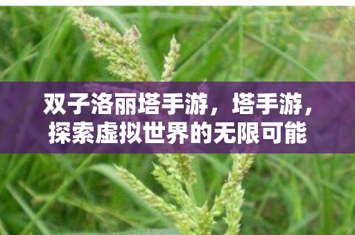 双子洛丽塔手游,塔手游,探索虚拟世界的无限可能 双子洛丽塔手游,塔手游,探索虚拟世界的无限可能