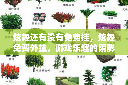 炫舞还有没有免费挂,炫舞免费外挂,游戏乐趣的阴影 炫舞还有没有免费挂,炫舞免费外挂,游戏乐趣的阴影
