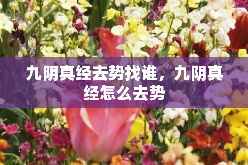 九阴真经去势找谁,九阴真经怎么去势 九阴真经去势找谁,九阴真经怎么去势