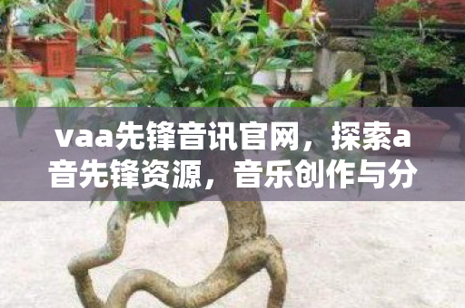 vaa先锋音讯官网,探索a音先锋资源,音乐创作与分享的新纪元 vaa先锋音讯官网,探索a音先锋资源,音乐创作与分享的新纪元