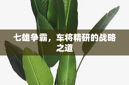 七雄争霸,车将精研的战略之道 七雄争霸,车将精研的战略之道