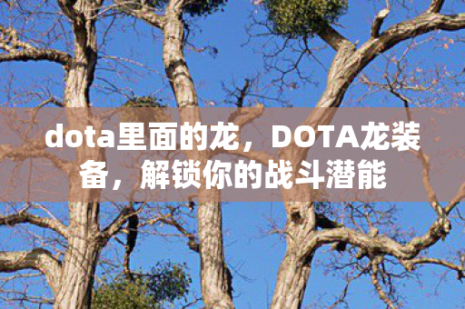 dota里面的龙,DOTA龙装备,解锁你的战斗潜能 dota里面的龙,DOTA龙装备,解锁你的战斗潜能