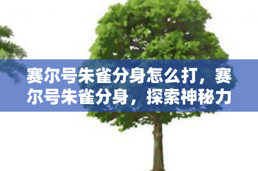 赛尔号朱雀分身怎么打，赛尔号朱雀分身，探索神秘力量的奇妙之旅