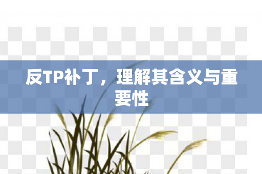 反TP补丁,理解其含义与重要性 反TP补丁,理解其含义与重要性