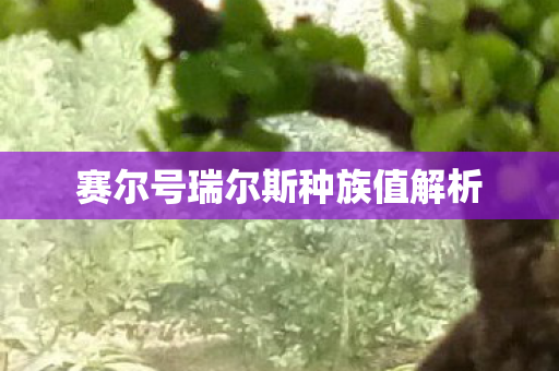 赛尔号瑞尔斯种族值解析 赛尔号瑞尔斯种族值解析