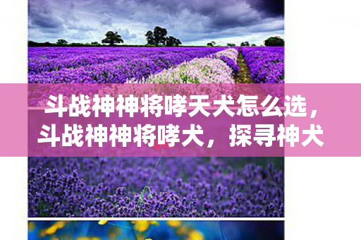 斗战神神将哮天犬怎么选,斗战神神将哮犬,探寻神犬背后的传奇故事 斗战神神将哮天犬怎么选,斗战神神将哮犬,探寻神犬背后的传奇故事