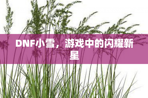 DNF小雪,游戏中的闪耀新星 DNF小雪,游戏中的闪耀新星