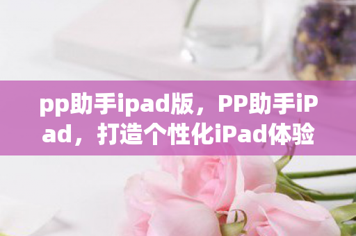 pp助手ipad版，PP助手iPad，打造个性化iPad体验