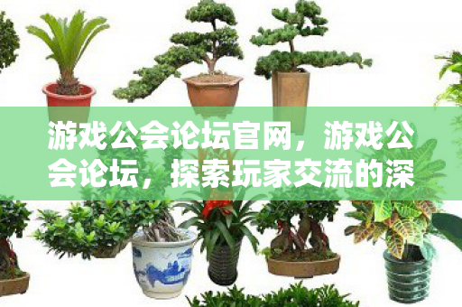 游戏公会论坛官网,游戏公会论坛,探索玩家交流的深度与广度 游戏公会论坛官网,游戏公会论坛,探索玩家交流的深度与广度