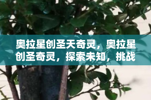 奥拉星创圣天奇灵，奥拉星创圣奇灵，探索未知，挑战极限