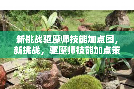 新挑战驱魔师技能加点图，新挑战，驱魔师技能加点策略