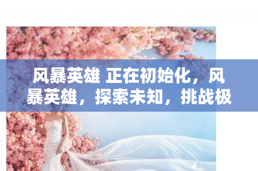 风暴英雄 正在初始化，风暴英雄，探索未知，挑战极限