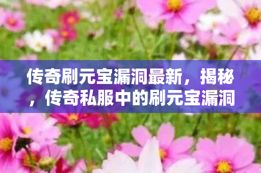 传奇刷元宝漏洞最新,揭秘,传奇私服中的刷元宝漏洞 传奇刷元宝漏洞最新,揭秘,传奇私服中的刷元宝漏洞