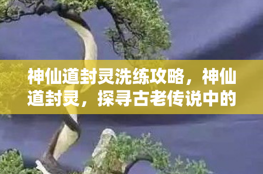 神仙道封灵洗练攻略，神仙道封灵，探寻古老传说中的神秘力量