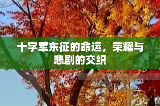 十字军东征的命运,荣耀与悲剧的交织 十字军东征的命运,荣耀与悲剧的交织