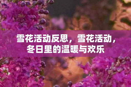 雪花活动反思,雪花活动,冬日里的温暖与欢乐 雪花活动反思,雪花活动,冬日里的温暖与欢乐