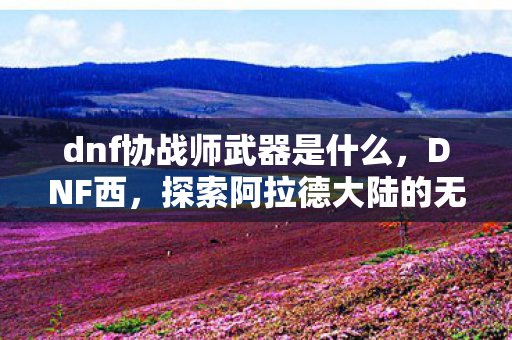dnf协战师武器是什么，DNF西，探索阿拉德大陆的无限可能