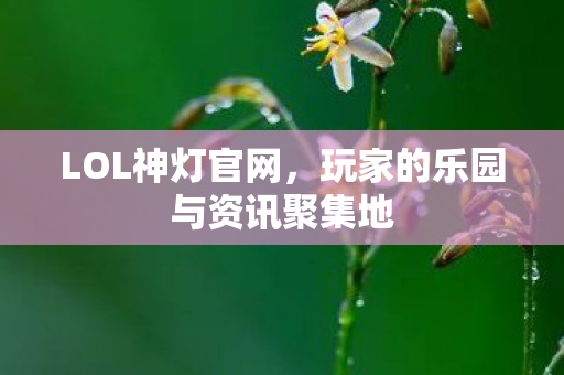 LOL神灯官网,玩家的乐园与资讯聚集地 LOL神灯官网,玩家的乐园与资讯聚集地