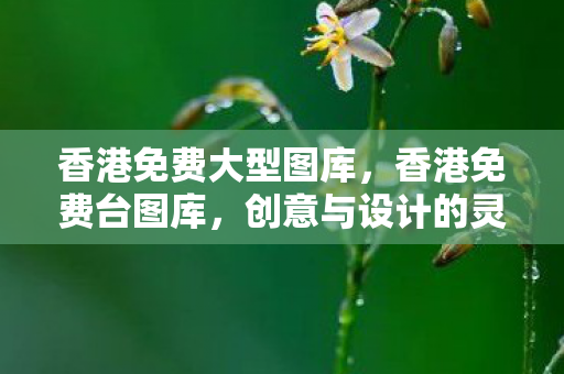 香港免费大型图库，香港免费台图库，创意与设计的灵感源泉