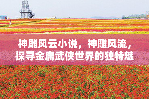 神雕风云小说，神雕风流，探寻金庸武侠世界的独特魅力