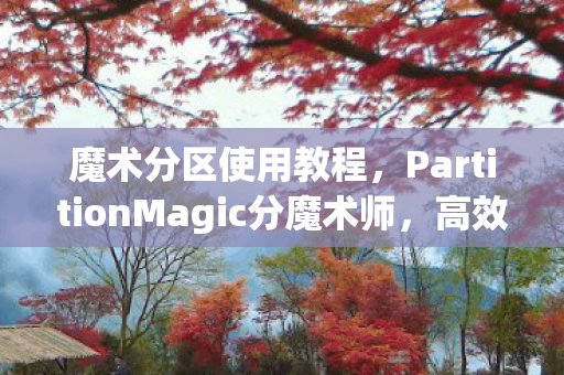 魔术分区使用教程,PartitionMagic分魔术师,高效磁盘管理的艺术 魔术分区使用教程,PartitionMagic分魔术师,高效磁盘管理的艺术