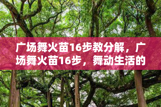 广场舞火苗16步教分解,广场舞火苗16步,舞动生活的旋律 广场舞火苗16步教分解,广场舞火苗16步,舞动生活的旋律