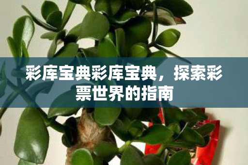 彩库宝典彩库宝典，探索彩票世界的指南