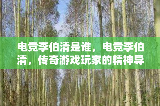 电竞李伯清是谁,电竞李伯清,传奇游戏玩家的精神导师 电竞李伯清是谁,电竞李伯清,传奇游戏玩家的精神导师