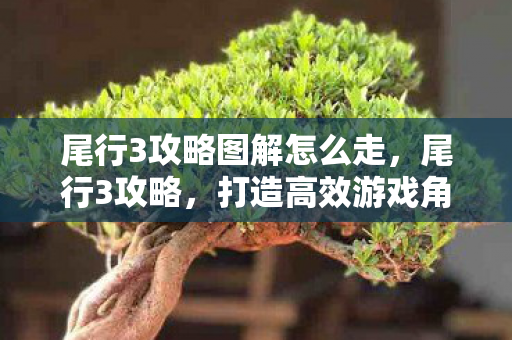 尾行3攻略图解怎么走,尾行3攻略,打造高效游戏角色与策略指南 尾行3攻略图解怎么走,尾行3攻略,打造高效游戏角色与策略指南